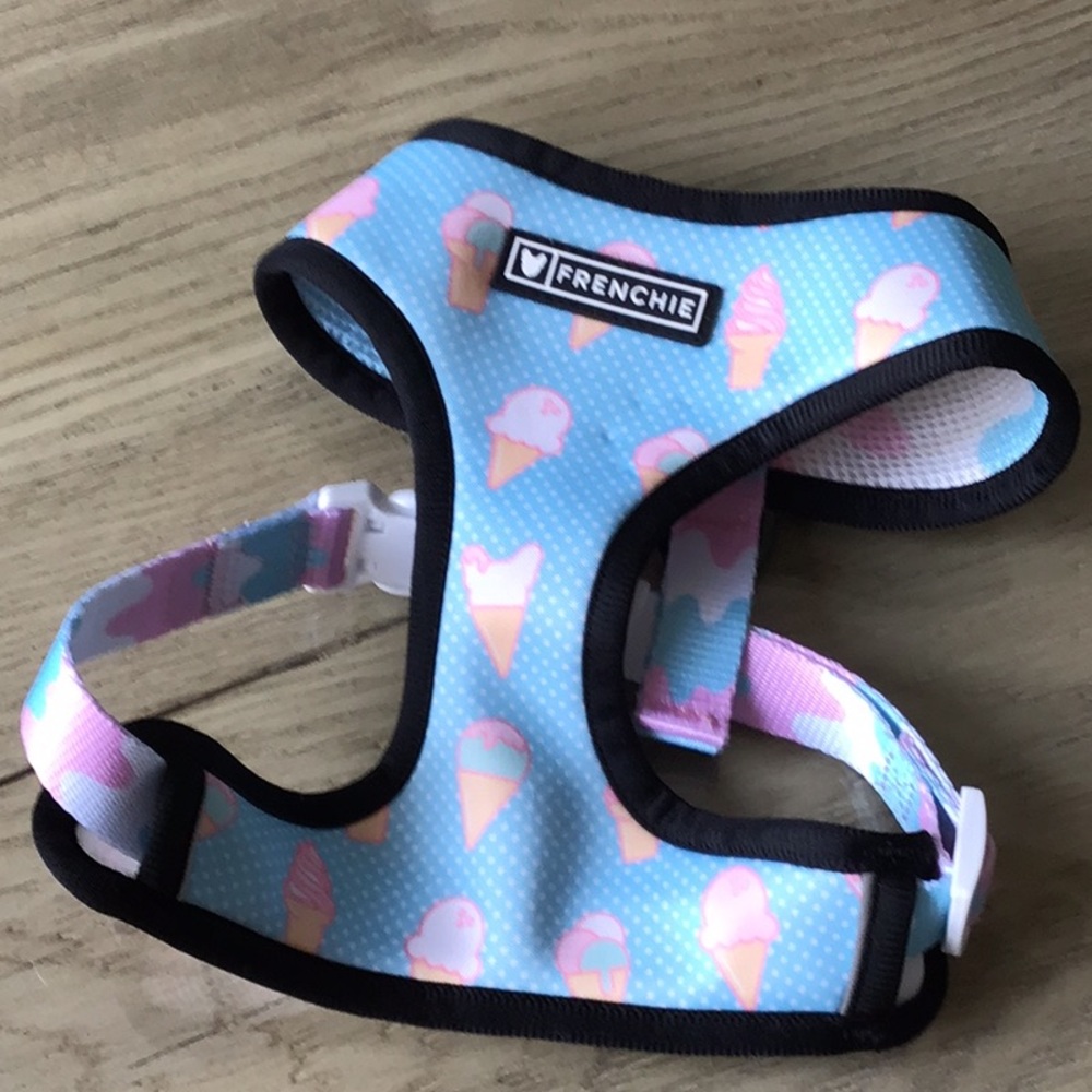 Frenchi Ice Cream Print Kids Harness - Blue and Pink